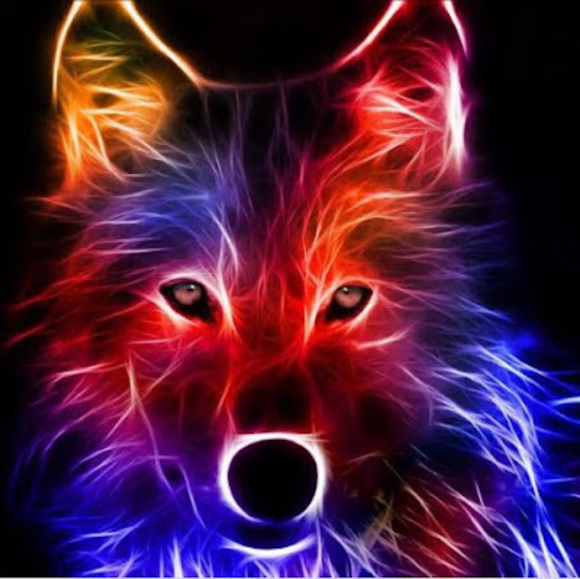 Meet your Posher, Giselle - Picture 1 of 1